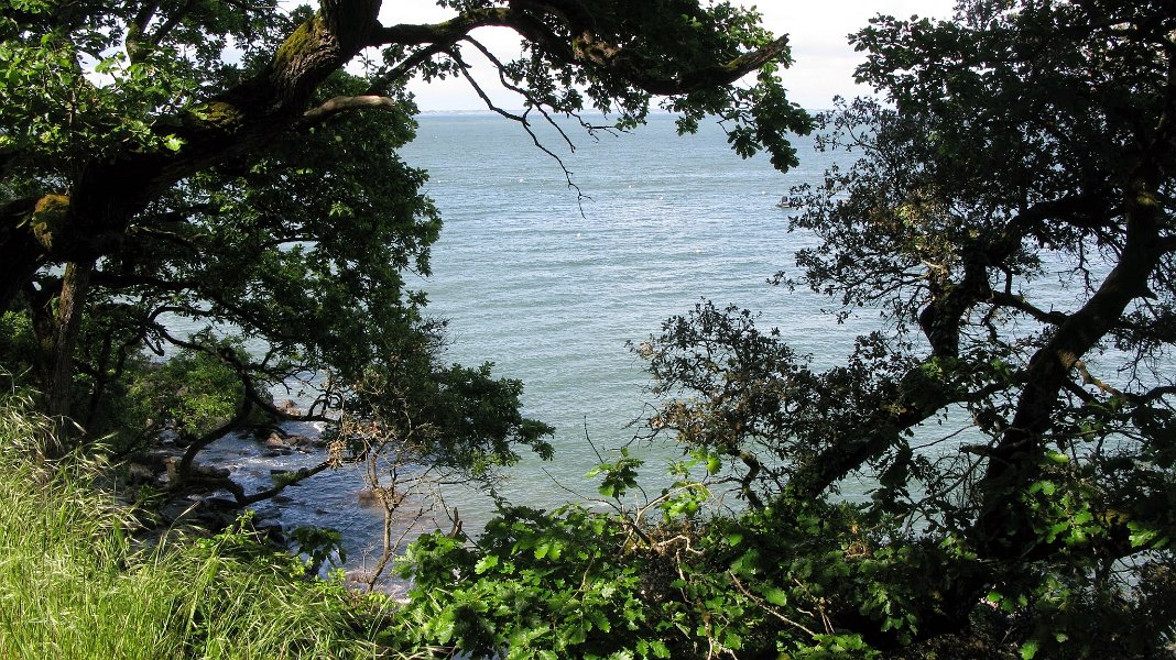 2014 Ile de Noirmoutiers (145)